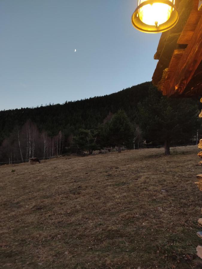 Bordes Pirineu, Costuix Otel Areu Dış mekan fotoğraf